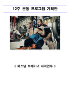퍼스널 트레이너 자격연수 12주 운동프로그램 계획안1-1