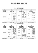 퍼스널 트레이너 자격연수 12주 운동프로그램 계획안1-5