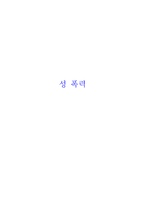 성폭력범죄 보고서-1