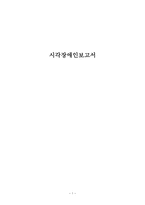시각장애인 보고서-1