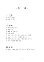 시각장애인 보고서-2