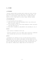 시각장애인 보고서-3