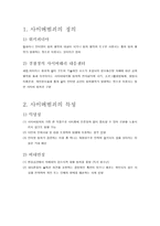 사이버 범죄 레포트-2