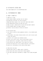 사이버 범죄 레포트-5