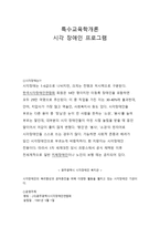 특수교육학개론 시각장애인 프로그램-1