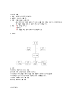 특수교육학개론 시각장애인 프로그램-2