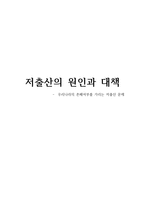 저출산의 원인과 대책 우리나라의 존폐 여부를 가리는 저출산 문제-1
