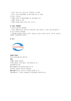 사회복지법인 상금복지회 Autism Society of Korea 금천단기보고센터 기관 분석 보고서-4