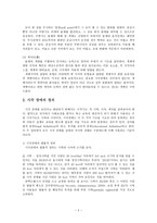 시각장애 레포트-2