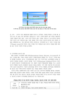 시각장애 레포트-3
