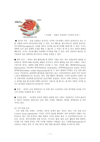 시각장애 레포트-7