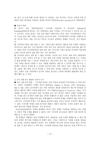 시각장애 레포트-14
