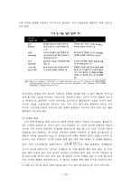 시각장애 레포트-19