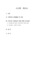 우리나라 사형제도의 현재 상황 및 문제점-1