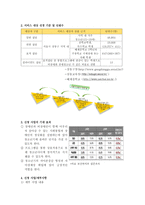 장애청소년과 비장 애청 소년의 통합 프로그램 하나 되는 비非장애 제안서-7