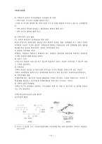 사회복지 실천론 사회복지 실천과정초기의 마지막과 중간단계-13
