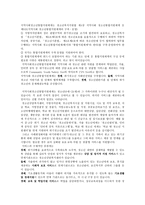 사회복지 정책론 지역사회 청소년 통합지원체계 CYSNet-2