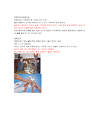 음주 매너 레포트-14