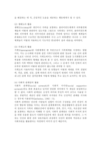 생태체계 이론 보고서-12