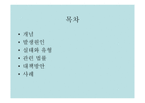 청소년 성매매 문제점 보고서-2