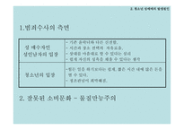 청소년 성매매 문제점 보고서-5
