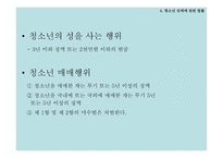 청소년 성매매 문제점 보고서-13