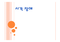 시각장애 레포트-1