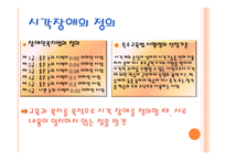 시각장애 레포트-3