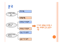 시각장애 레포트-4