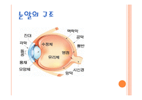 시각장애 레포트-5