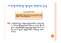 시각장애 레포트-10