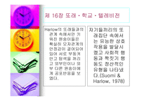아동발달심리학 또래 학교 텔레비전-15