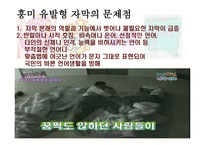오락프로그램 자막의 기원-15