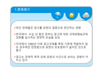 표현으로서의 광고의 보호 정도에 대한 탐구 인격권 관련 판례분석 중심-2