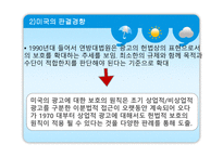 표현으로서의 광고의 보호 정도에 대한 탐구 인격권 관련 판례분석 중심-10