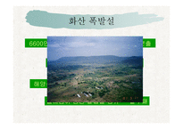 공룡 Dinosaur멸종의 이해-3