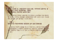 아동문학의 이해 작가 정채봉 보고서-10