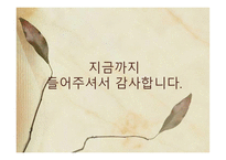아동문학의 이해 작가 정채봉 보고서-11
