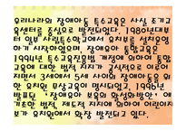 장애유아의 통합 보육프로그램-3