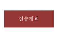 사회복지현장실습 사랑샘-2