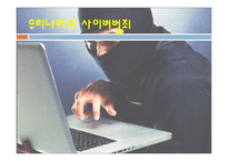 우리나라의 사이버범죄-1