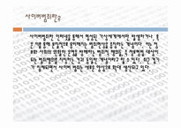우리나라의 사이버범죄-4