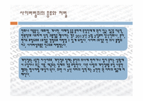 우리나라의 사이버범죄-12