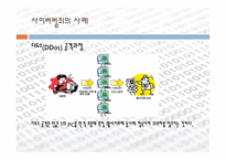 우리나라의 사이버범죄-15
