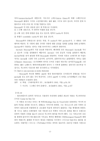 문명의 충돌 기독교와 이슬람 문화 보고서-3