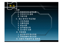 정신분석이론 개요-2