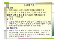 행동주의적 접근-20