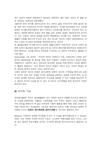 여가란 레포트-4