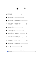 아일랜드식 성장모델-2
