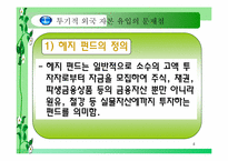[금융] 투기적 외국자본의 유입이 과연 나쁘기만 한가-4